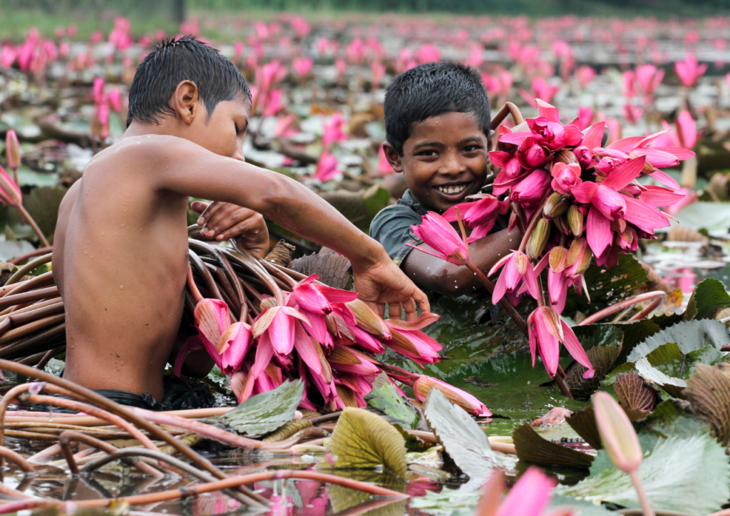 L’Âme du Bangladesh : Voyage au Cœur d’une Culture Vivante